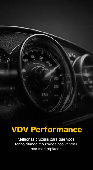 VDV Performance